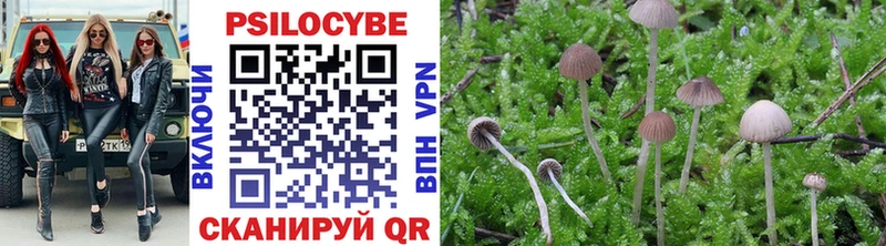 купить наркотики цена  Артём  МЕГА зеркало  Галлюциногенные грибы Psilocybe 